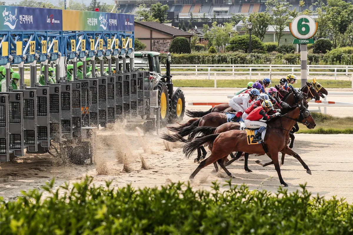 jeju island — IN news