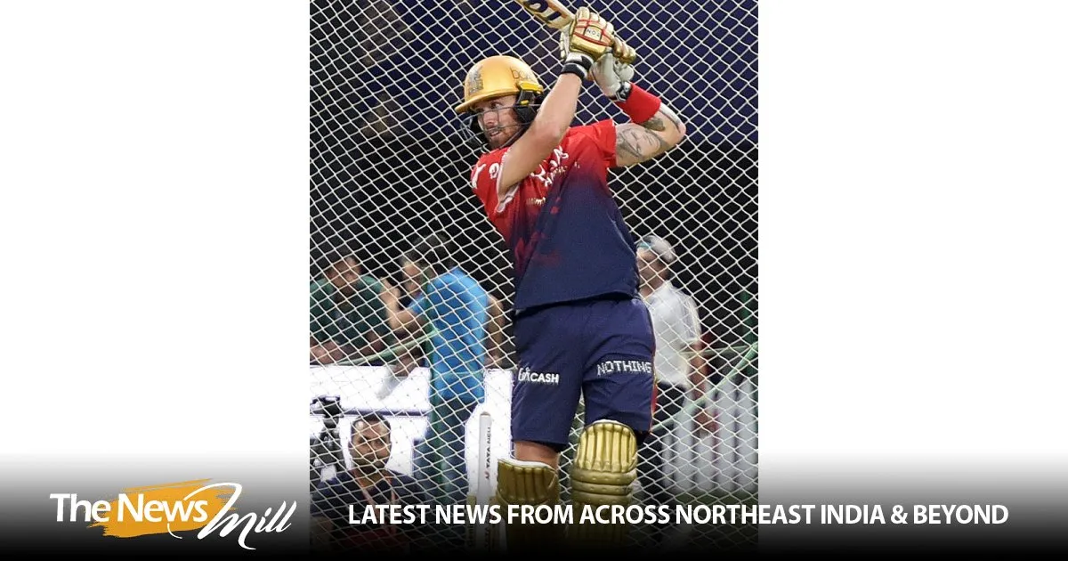 phil salt — IN news