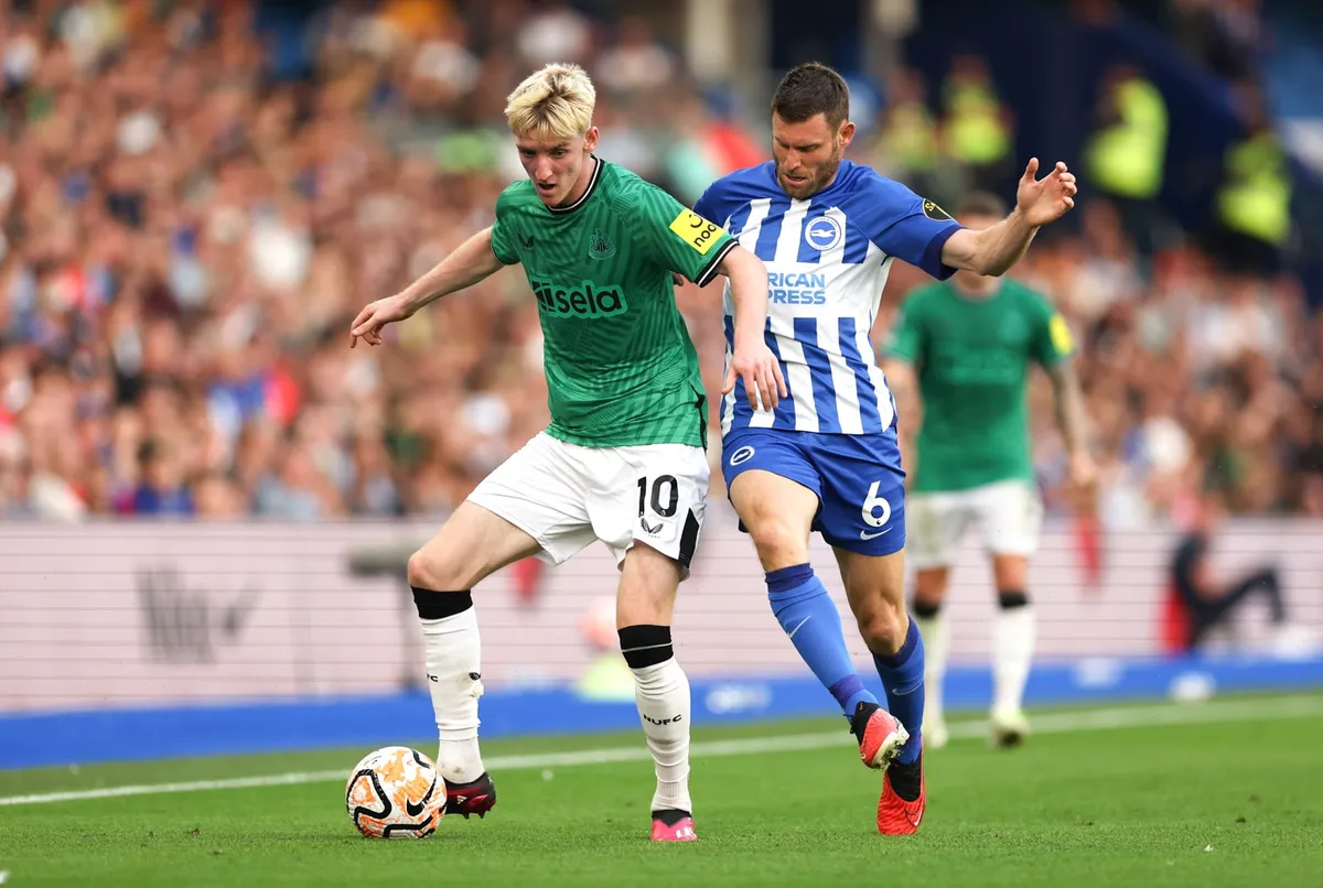 newcastle vs brighton — IN news