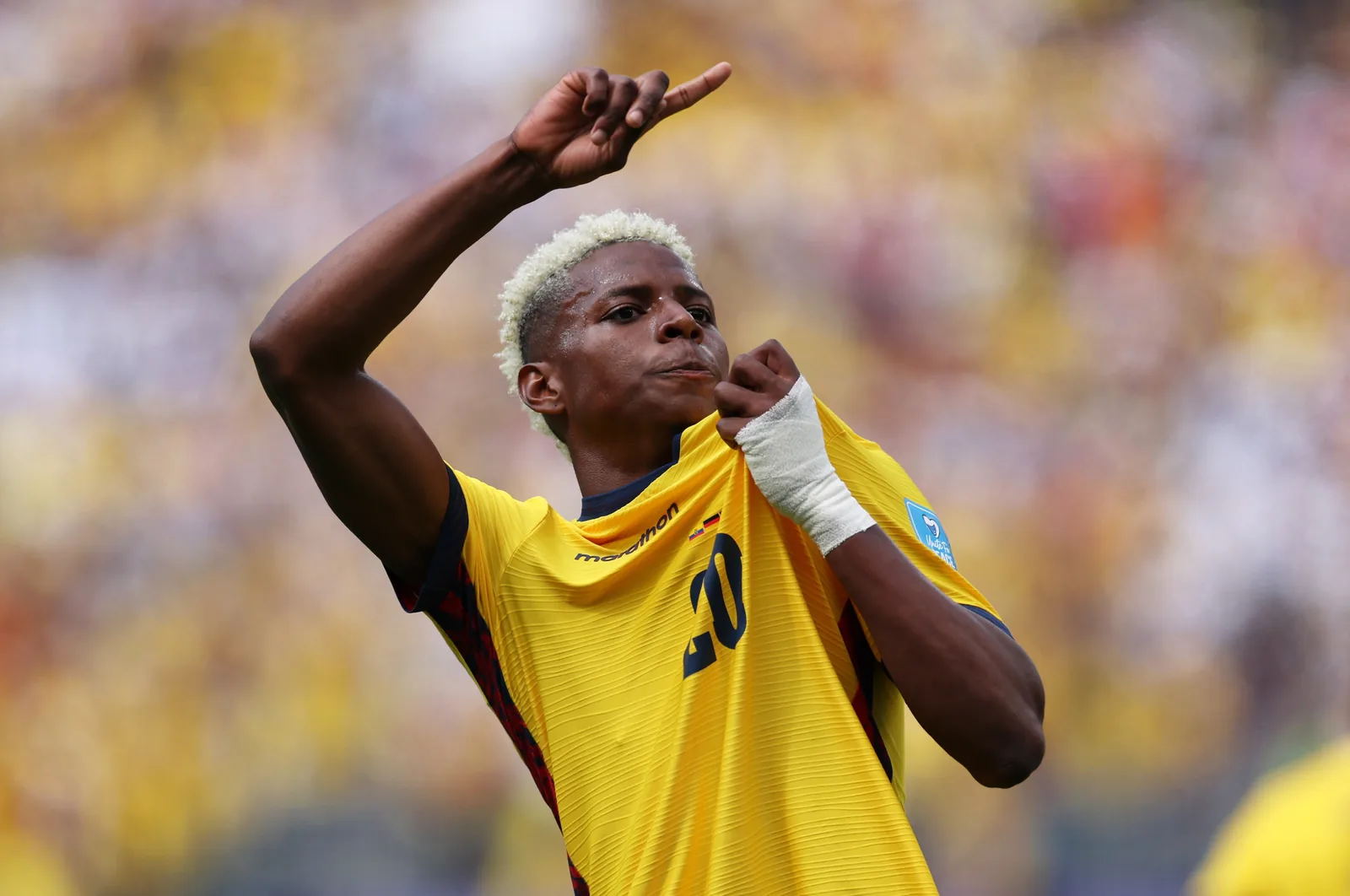 FIFA World Cup | Ecuador vs Germany LIVE updates: Group E match gets underway