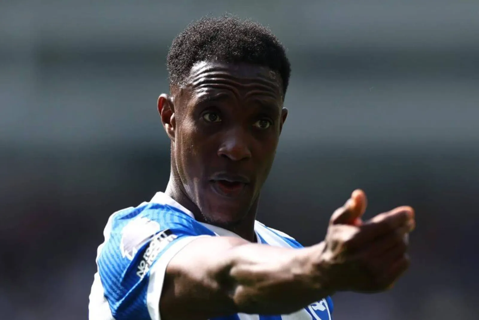 Welbeck, wearing the blue and white home shirt of Brighton & Hove Alvion, gestures with his right hand outstretched.